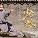 in Pics Shaolin Kung Fu Nine Section Chain Whip 