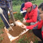 Large Rare Earth Deposit Discovered in Sw China 