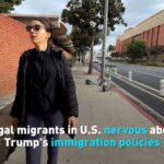 Legal Migrants in Us Nervous About Trumps Immigration Policies Video Poster 