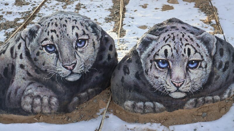 Lifelike Rock Paintings Draw Visitors to Xinjiang Geological Park 