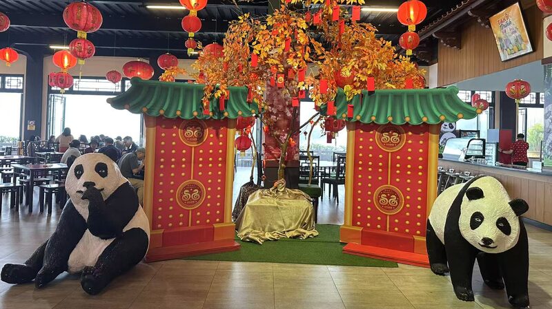 # - My News! Live Celebrating Chinese New Year at Indonesias Safari Park Video Poster