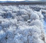 Live Snow covered Plain at Chinas Northernmost Point Ep 4 