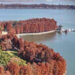 Live Stunning Wuhan Skyline Views from Chutian Terrace 