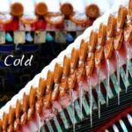 Major Cold the Last Solar Term Ushers in the New Year 