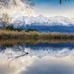 New Zealand Sets Ambitious Climate Target for 2035 