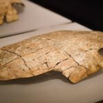 Oracle Bone Script Meets Modern Design in the Year of the Snake 