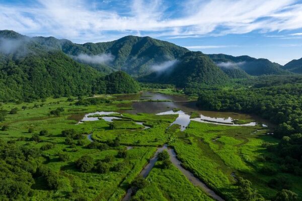 The Mighty Moss Behind Shennongjia’s Stunning Wetlands Our wetlands: Where tiny moss supports a 20,000-year-old wetland video poster