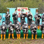 Panda Cubs Make Their Collective Debut Ahead of Chinese New Year 