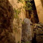 Pocket Gardens Make Suzhou a Haven for Green Therapy Video Poster 