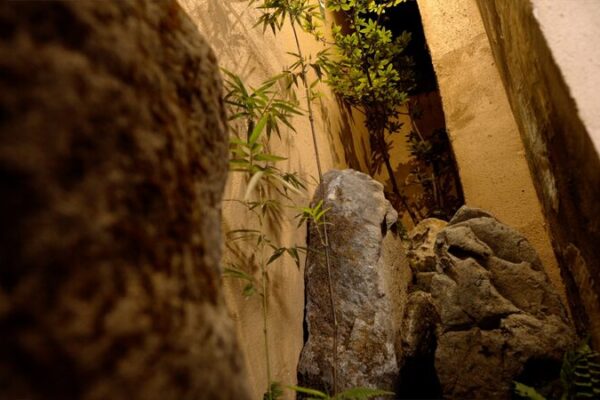 # - My News! Pocket Gardens Make Suzhou a Haven for Green Therapy Video Poster