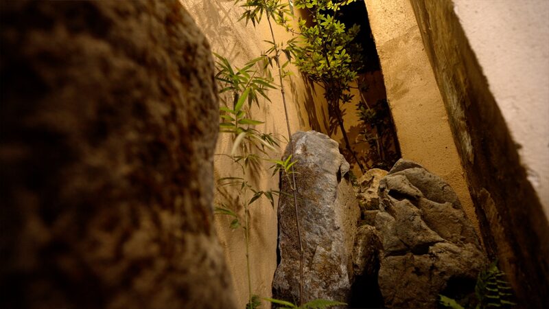 # - My News! Pocket Gardens Make Suzhou a Haven for Green Therapy Video Poster