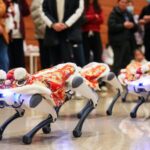 Robot Dogs Join Spring Festival Fun As Mini lion Dancers 