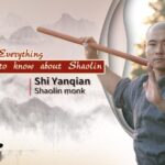 Spark Everything You Need to Know About Shaolin Video Poster 