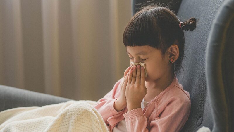 Scientists Find rouge Immune Cells Fueling Chronic Sinus Infections 