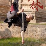 Shaolin Cradle of Chinese Kung Fu Video Poster
