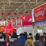 Spring Festival a Unesco Heritage Tradition Video Poster 