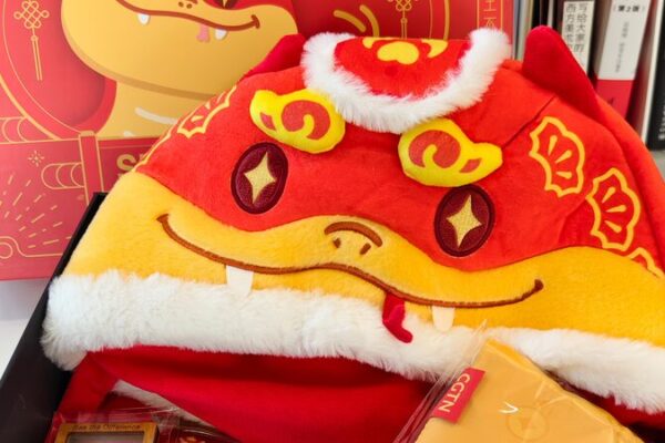 # - My News! Surprise Gift for Chinese New Year Video Poster