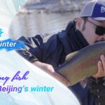 Tales of Winter Snagging Fish in Beijings Winter Video Poster 