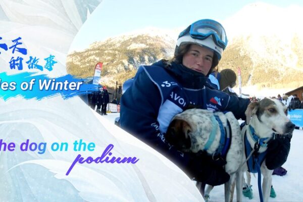 Tales of winter: The dog on the podium video poster