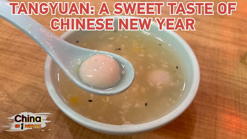 Tangyuan a Sweet Taste of Chinese New Year Video Poster 