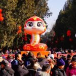the Year of the Wood Snake