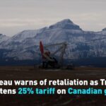 Trudeau Vows Retaliation over Trumps 25 Canada Tariff Threat Video Poster 