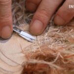 Under the Lens the Radiance and Beauty of Kesi Silk 