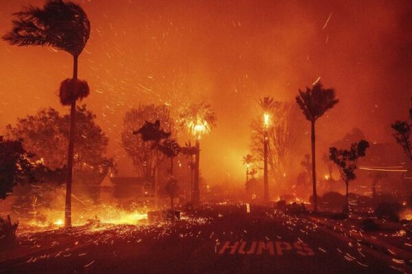 # - My News! Whos to Blame Californians Seek Answers Amid Los Angeles Wildfires