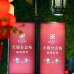 Wuxis Festive Streets Herald the Spring Festival Gala 