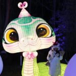 Yinchuan Lantern Festival Brightens Year of the Snake 