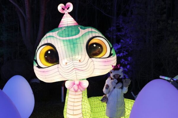 Yinchuan lantern festival brightens Year of the Snake