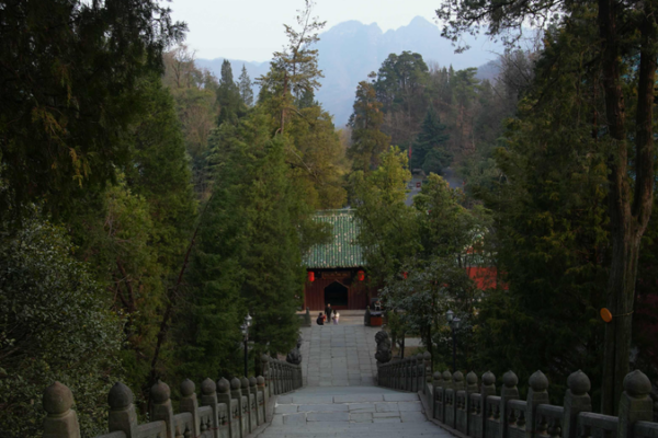 Unveiling the Splendor of Zixiao Palace: Beyond Tai Chi in China’s Wudang Mountains Beyond Tai Chi: The royal splendor of Wudang's Zixiao Palace