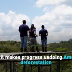 Brazil Makes Progress Undoing Deforestation to Amazon Video Poster 