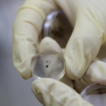 Change 6 Samples Provide Evidence of magma Ocean on Early Moon 