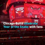 Chicago Bulls Celebrate Year of the Snake with Fans Video Poster