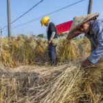 China Continues Fight Against Poverty As It Safeguards Progress 