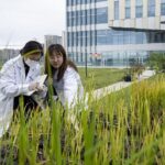 China Reaffirms Commitment to Advancing Agricultural Technology 