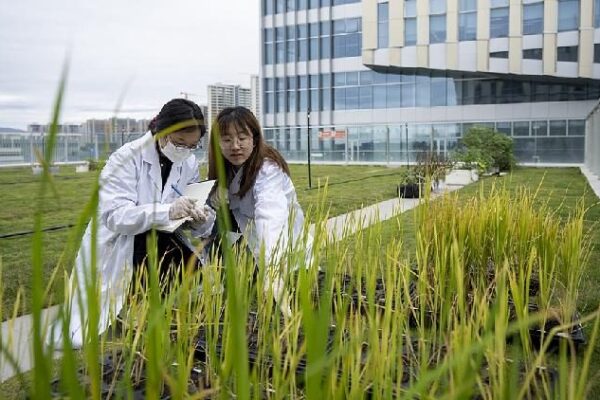 China Reaffirms Commitment to Advancing Agricultural Technology 