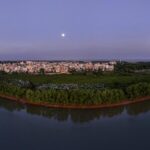 China Releases First Standards for Mangrove Restoration 