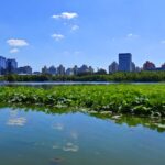 China Targets Elimination of Severe Air Pollution by 2025 