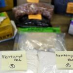 Chinas Contribution to Global Drug Governance 