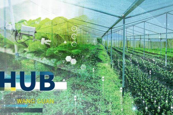 # - My News! Chinas New Agricultural Code and the Breed of New Farmers Video Poster