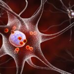 Chinese Researchers Find New Target to Treat Parkinsons Disease 