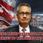 Expert Trump Essentially Sold the Tariffs to the American People Video Poster 