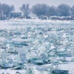 from Mist to Frost on a Winter Morning 