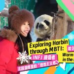 Frost Meets Fur Harbins Gentle Pandas in the Cold North Video Poster 