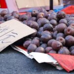 Frozen Fruit a Popular Winter Treat in Harbin 