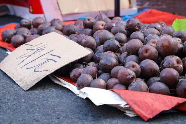 Frozen Fruits: Harbin’s Coolest Winter Delight Frozen fruit, a popular winter treat in Harbin
