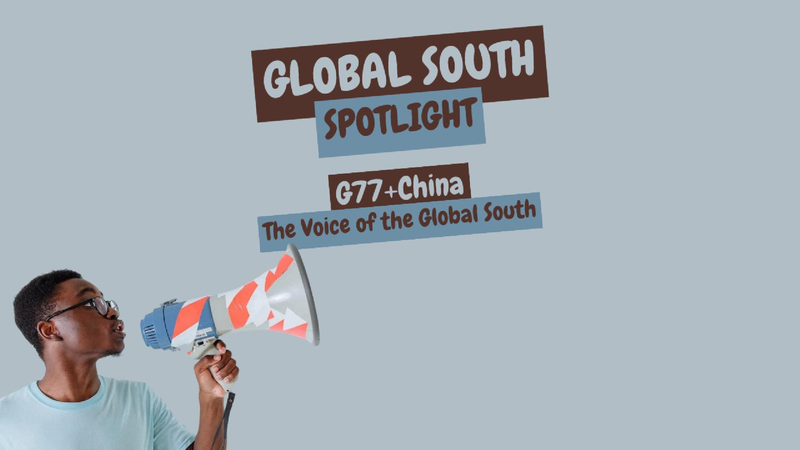G77china   the Voice of the Global South Video Poster 
