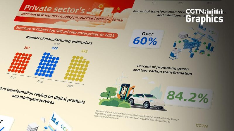 Graphics Chinas Top 500 Private Firms Highlight Real Economy Growth 